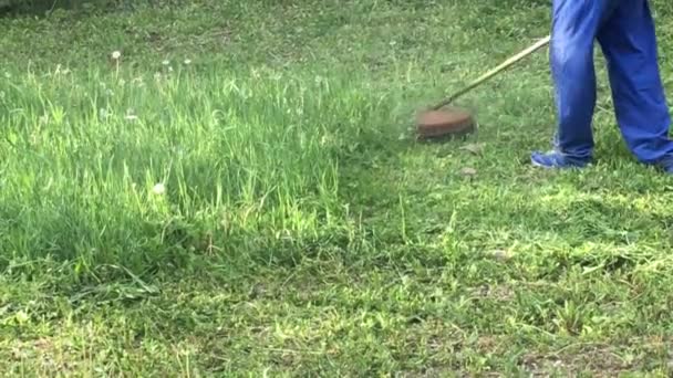 Hombre agricultor corta la hierba con una segadora en la naturaleza — Vídeos de Stock