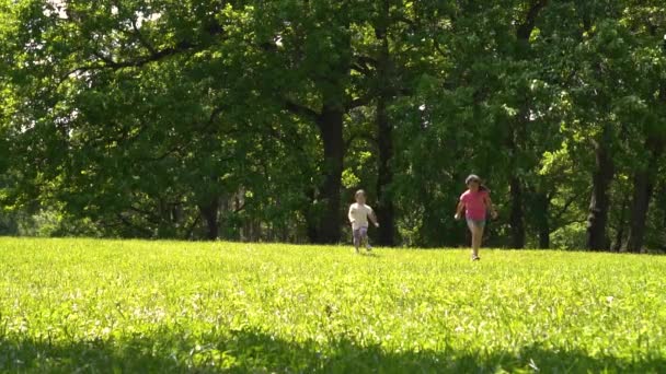 Zwei junge asiatische Mädchen laufen über die Wiese im Park, Tag — Stockvideo