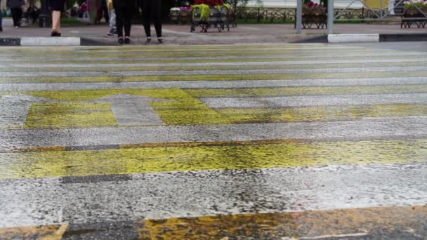 Gente cruzando la calle en una cebra en la ciudad — Vídeos de Stock