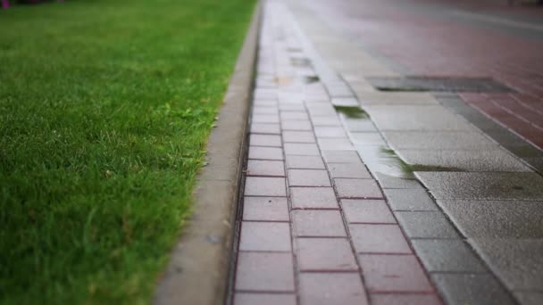 A man walks beside a lawn in the rain — Stock Video