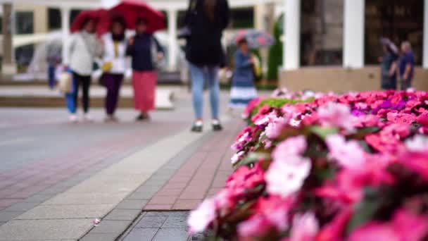 人々は雨の中で街で写真を撮る — ストック動画