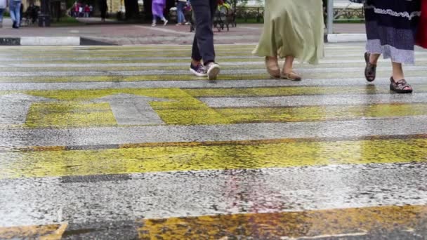 市内のシマウマで通りを横断する人々 — ストック動画