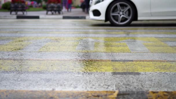 Personnes traversant la rue sur un zèbre dans la ville — Video