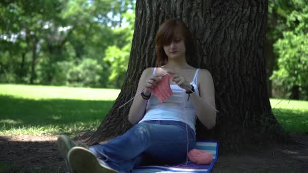Молода дівчина робить в'язання в парку під деревом — стокове відео