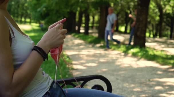 Junges Mädchen strickt im Park auf der Bank — Stockvideo