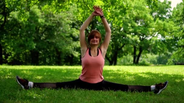 Girl sits on a twine on the grass in the park — Stock Footage Girl sits on a twine on the grass in the park Royalty Free Stock Footage