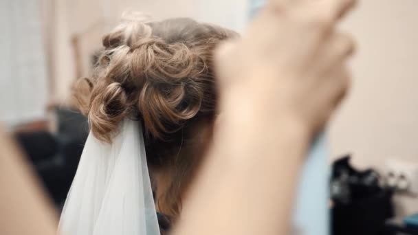 Перукар робить зачіску в салоні краси — стокове відео