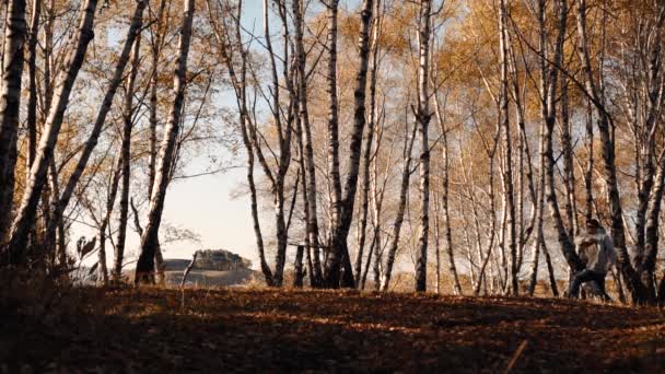 Srác ugrás móka az őszi erdőben — Stock videók