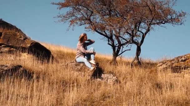 Flicka sitter på hösten på en sten nära ett träd — Stockvideo