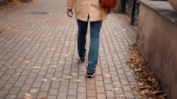 Chica camina en el parque en otoño — Vídeo de stock