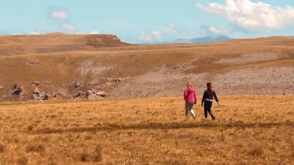 Dos chicas caminan en el campo — Vídeos de Stock