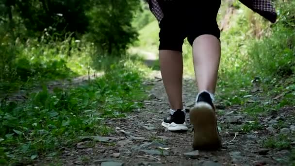 Chica turista paseos a lo largo de la garganta — Vídeo de stock