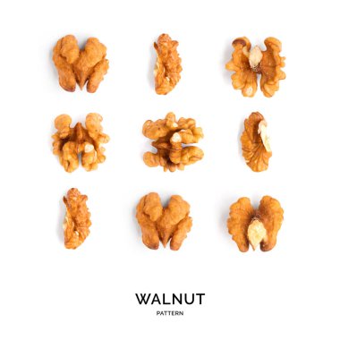 Ceviz ile dikişsiz desen. Soyut arka plan. Beyaz arka planda ceviz.