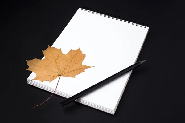 Apre Taccuino Pulito Sketchbook Con Matita Foglia Autunnale Sfondo Nero — Foto Stock