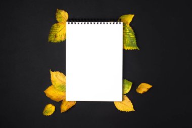 Siyah masaya açılan Not Defteri sayfası ile sonbahar yaprakları