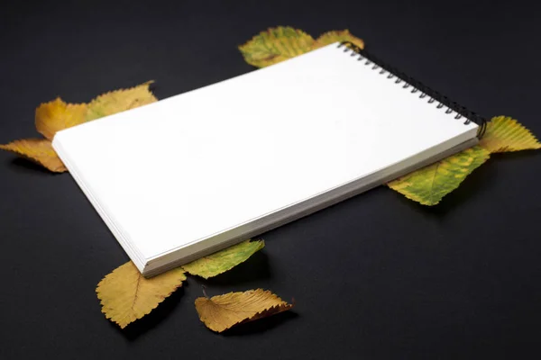 Открытая Страница Блокнота Осенними Листьями Черном Столе — стоковое фото