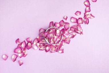 Pembe bir arka plan üzerinde güzel gül yaprakları