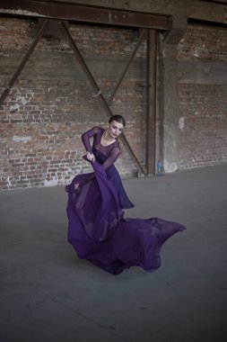 Genç bir balerin büyük bir odada dans, elinde gelişen bir doku. Menekşe rengi bir elbise giyiyor..