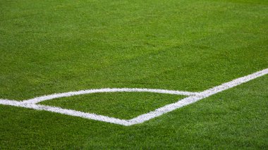 yeşil çim futbol (futbol) alanıyla closeup