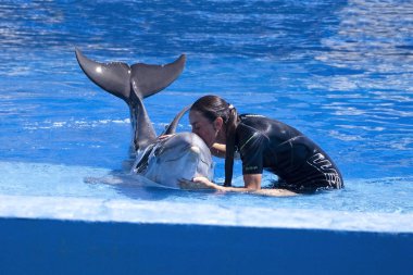 Dolphinarium, yunuslar mavi temiz su, Madrid, İspanya 2018-08-15 ile özel yüzme havuzunda atlama eğlence Show'da yunus (deniz memeli eğitimci) öpüşme eğitmen