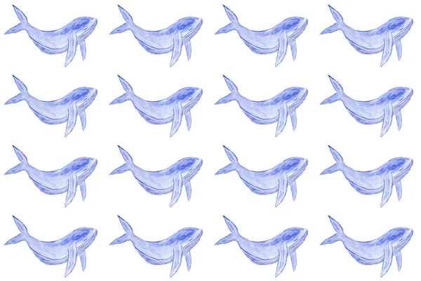 Sulu Boya Şirin Mavi Balinalar Sanat Illüstrasyon Izole Boyalı Beyaz — Stok fotoğraf