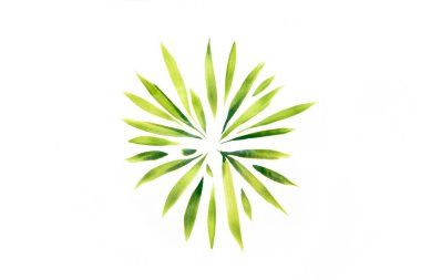 suluboya yaprakları ve beyaz arka plan üzerinde daire sanat (el boyalı) bitkiler