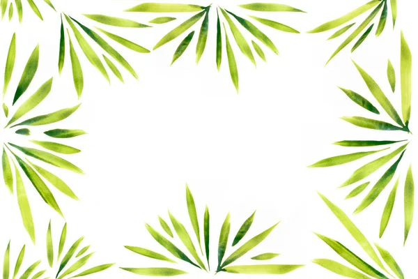 watercolor leaves and plants frame pattern art (hand painted) on white background
