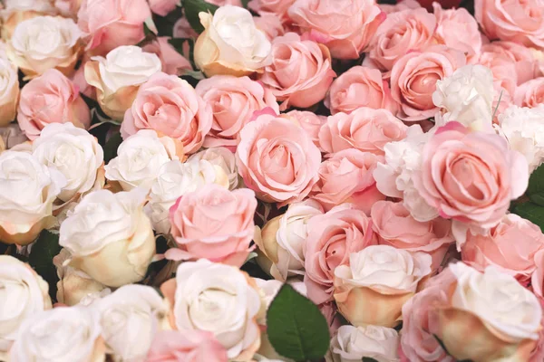 Nahaufnahme Textur Hintergrund Mit Schönen Rosa Und Weißen Rosen — Stockfoto