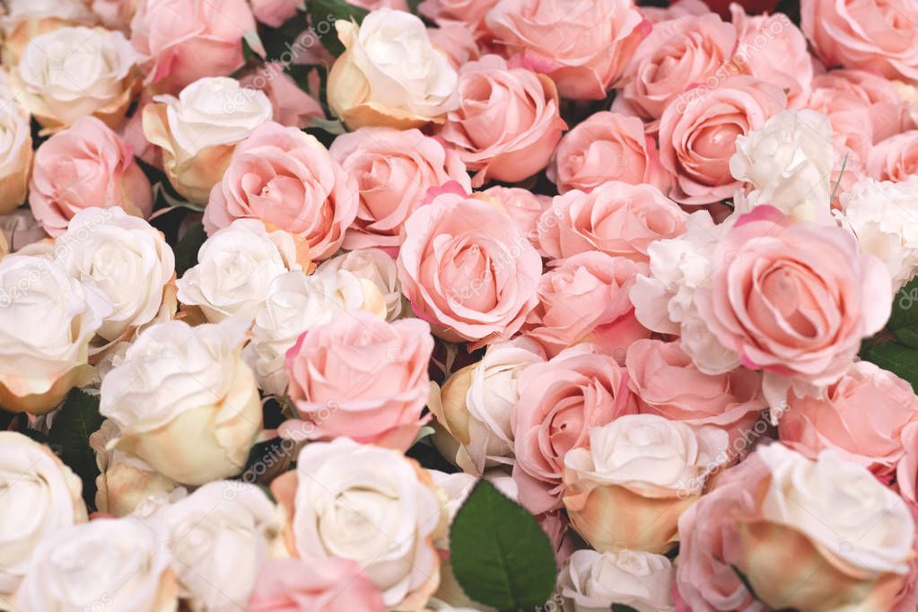 close up texture background with beautiful pink and white roses