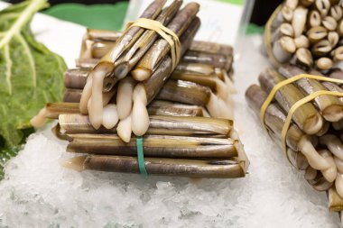 Geleneksel deniz ürünleri solen, deniz bivalves, pazar vitrinde buz üzerinde.