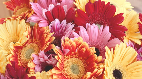 Grande bouquet con un sacco di gerbere rosse, rosa e gialle con bella tonificazione moderna, foto 16: 9 . — Foto Stock