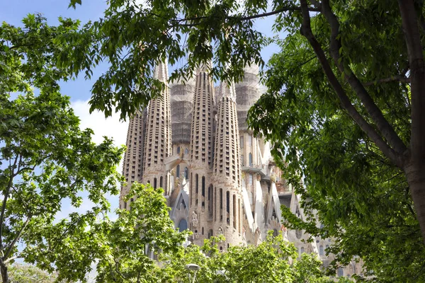 Vista de la Sagrada Familia - gran iglesia católica, diseñada por el arquitecto catalán Antoni Gaudí, a través de hojas verdes. Etapa actual de la construcción. Barcelona, Cataluña, España 2019-04-26 — Foto de Stock