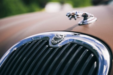 Jaguar başlık süs işareti. Klasik lüks araba kaputu. Makro yan görünüm fotoğrafı. Tuning show, Tomsk, Rusya 2019-06-15.