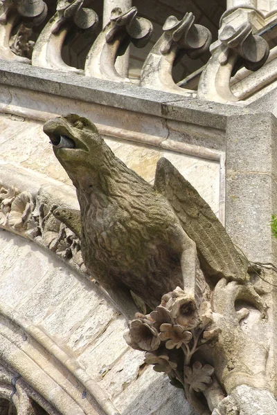 ゴシック様式の寺院の正面にあるガーゴイル の彫刻 — ストック写真