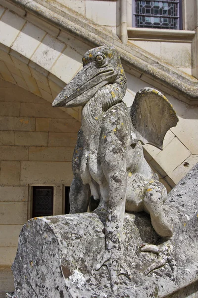 Середньовічна Кам Яна Пеліканна Статуя Грифон — стокове фото