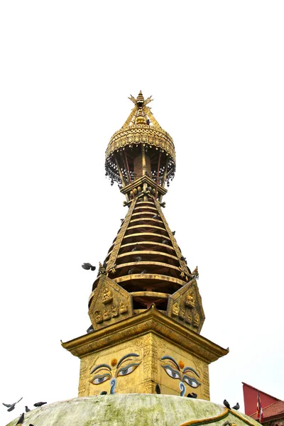 Дивовижні Очі Будди Мерехтливий Золотий Шпиль Сваямбхунатха Ступи Храм Мавп — стокове фото