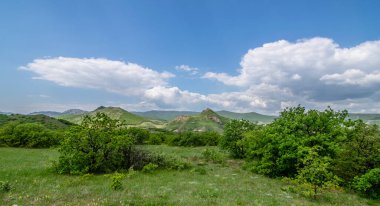 Koktebel 'de yeşil kenarlı kayalar, Krim. Mayıs ayının başında hâlâ uyuyan üzüm bağları fidanlığı. Ön planda çalılıklar. Güneşli bir gün ve mavi gökyüzünde küçük bulutlar