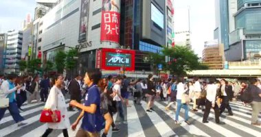 TOKYO, JAPONYA - CRKA MAYIS 2016: Akihabara 'daki kalabalık renkli tabelaların altından geçiyor. Tarihi elektronik bölge video oyunları, anime, manga ve bilgisayar ürünleri için bir alışveriş alanına dönüştü..