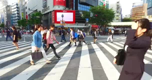 Tokyo Japan Cirka Május 2016 Tömeg Alatt Színes Jelek Akihabara — Stock videók