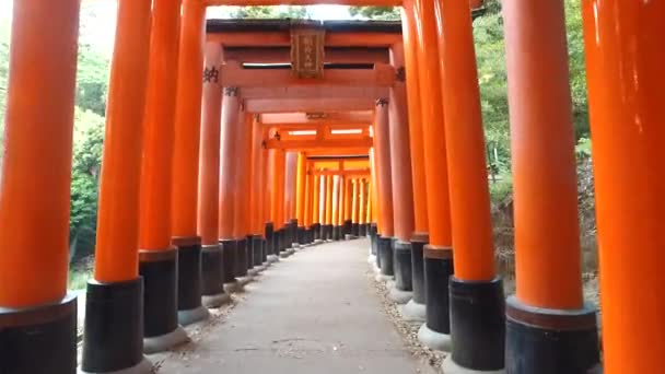 Kyoto Japan Mei 2016 Kuil Fushimi Inari Salah Satu Markah — Stok Video