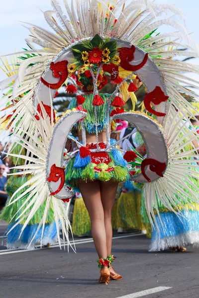 Santa Cruz Tenerife Ilhas Canárias Fevereiro 2018 Grupos Carnavalescos Personagens — Fotografia de Stock