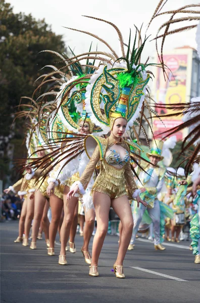 Santa Cruz Tenerife Ilhas Canárias Fevereiro 2018 Grupos Carnavalescos Personagens — Fotografia de Stock