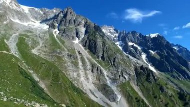 Botanik bahçesi SAUSSUREA 'dan Mount Blanc' a. Dünya çapında dağlık alanlardan zengin çeşitlilikte inanılmaz, nadir ve güzel alp bitkileri sunar..