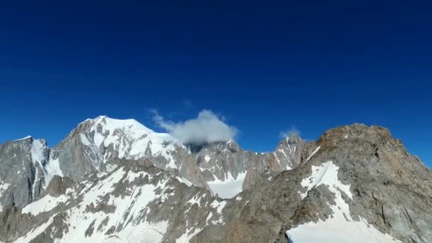 Jardin Botanique Saussurea Sur Mont Blanc Offre Une Riche Variété — Video