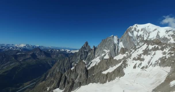 Jardin Botanique Saussurea Sur Mont Blanc Offre Une Riche Variété — Video