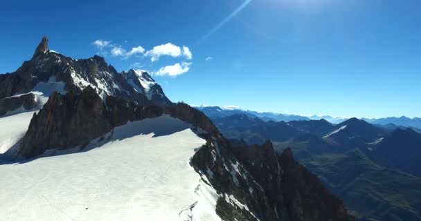 Botanische Tuin Saussurea Berg Blanc Het Biedt Een Rijke Verscheidenheid — Stockvideo