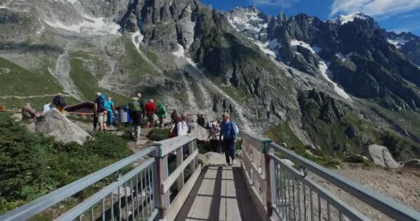 Courmayeur August 2016 Botaniska Trädgården Saussurea Till Mount Blanc Det — Stockvideo
