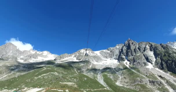 Giardino Botanico Saussurea Sul Monte Bianco Offre Una Ricca Varietà — Video Stock