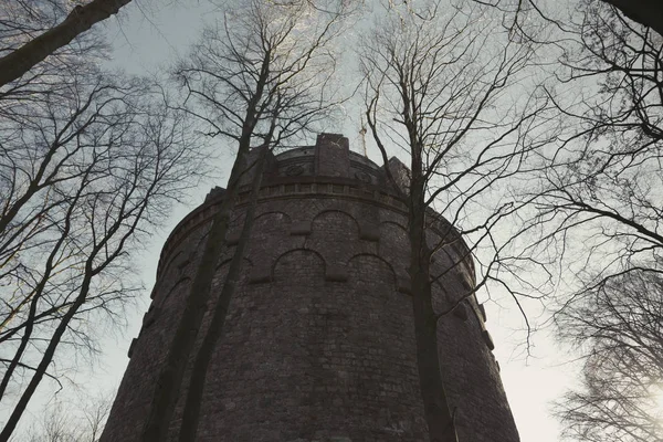 Bottom View Ancient Tower Surrounded Leafless Trees Royalty Free Stock Images