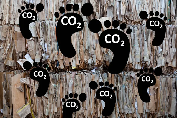 Carbon footprint, sustainable development,climate crisis